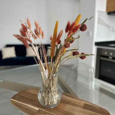 Apartamento Marinho's Oporto